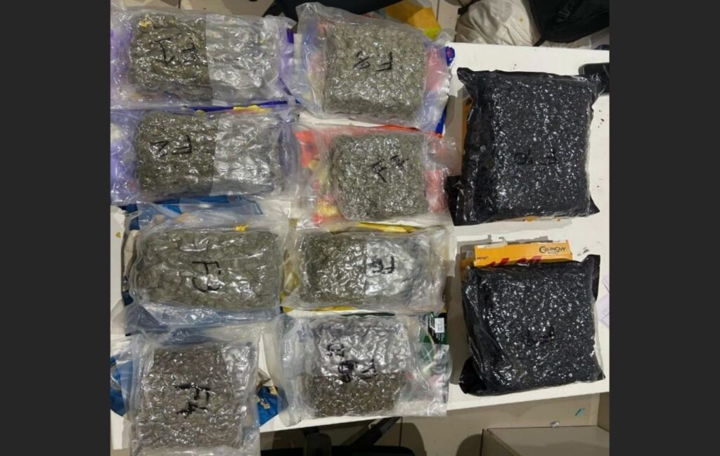 DRI Pune Seizes ₹10.3 Crore Worth Of Hydroponic Weed From Passengers Arriving From Bangkok; 3 Held