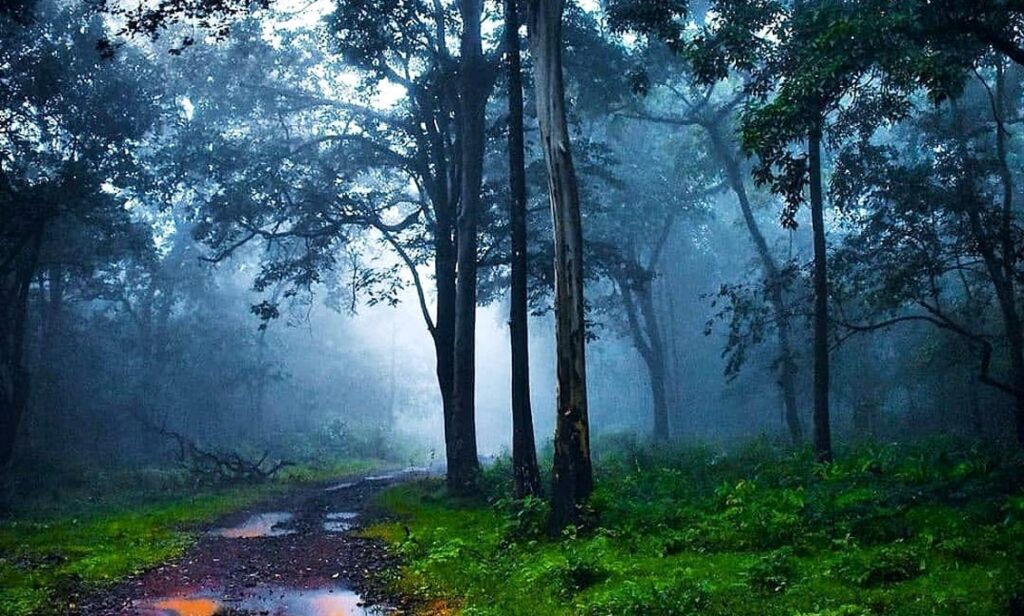 Top 10 Monsoon Getaways in India: Best Travel Destinations to Explore During the Rainy Season