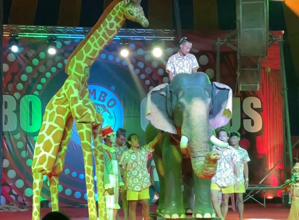 Pune: Rambo Circus Wins PETA India Award For Introducing Robotic Elephant