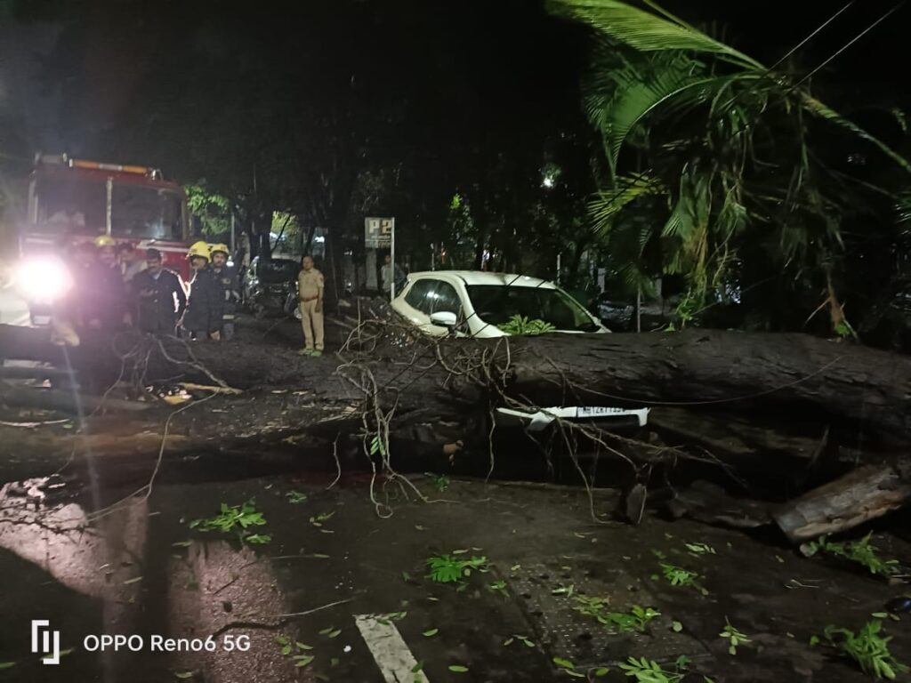Pune Rains: Man Dies After Tree Collapses On Him In Erandwane