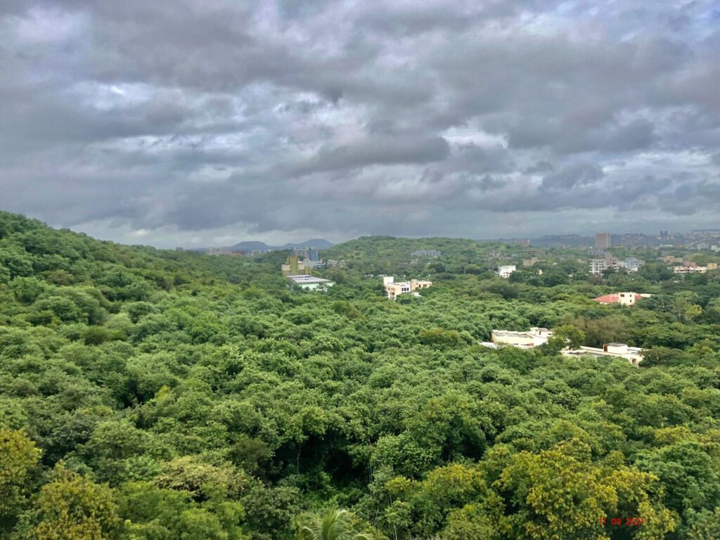 Supreme Court Admits Petition Against Balbharti-Paud Phata Road Project, Issues Notices to PMC and State Authorities