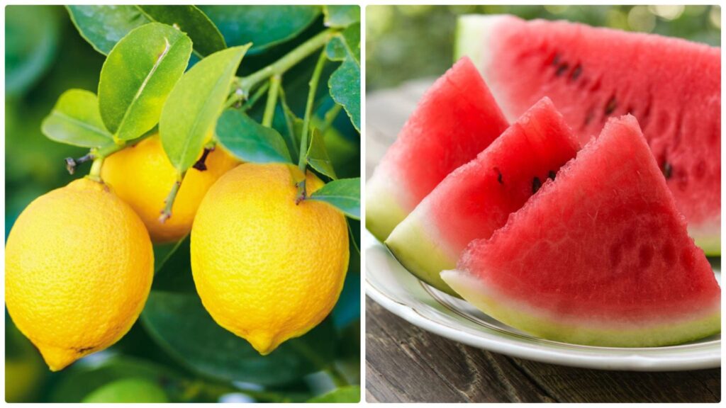 7 Power-Packed Food Pairings That Naturally Boost Liver Health