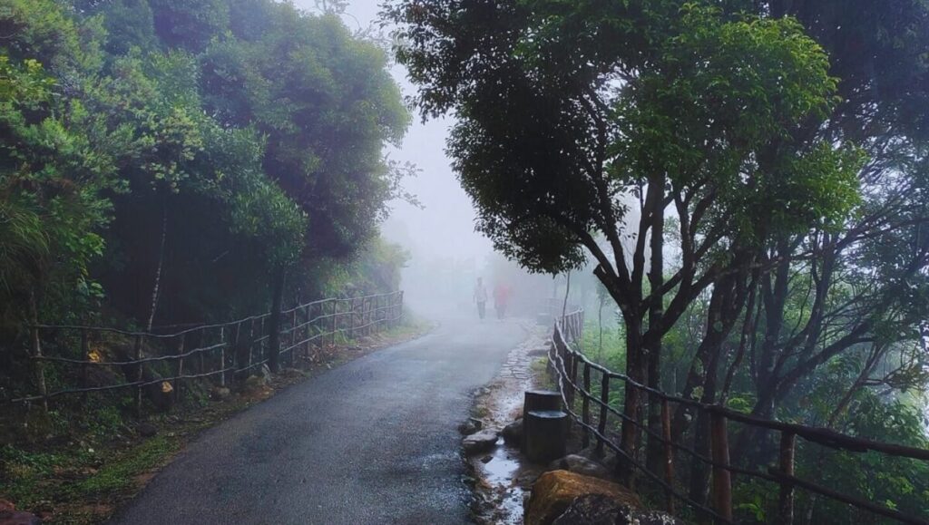 Top 10 Monsoon Getaways in India: Best Travel Destinations to Explore During the Rainy Season