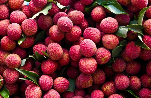 Kolkata Lychees Dominate Pune Fruit Markets as Seasonal Demand Soars