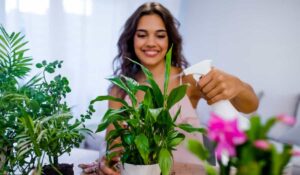 Green Vibes: 9 Indoor Plants That Attract Prosperity, Growth, and Positive Energy as per Vastu