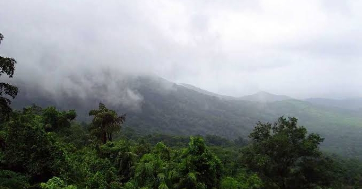 Top 10 Monsoon Getaways in India: Best Travel Destinations to Explore During the Rainy Season