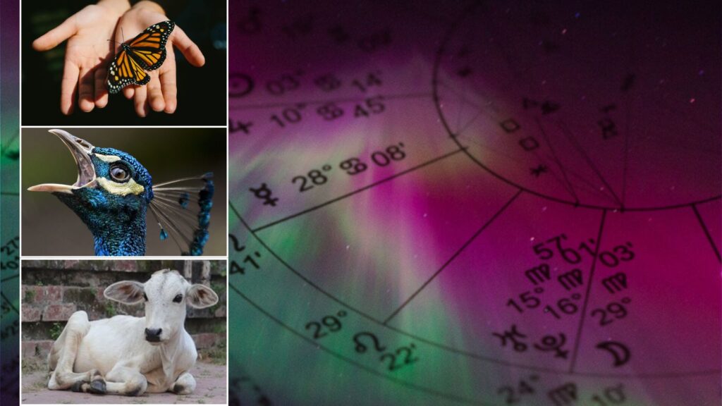 Morning Encounters with Animals and Birds What They Reveal About Your Day, According to Astrology