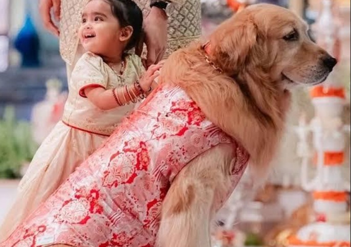 Mukesh Ambani’s Beloved Dog Happy Passes Away; Here’s a Peep into his Luxurious Lifestyle