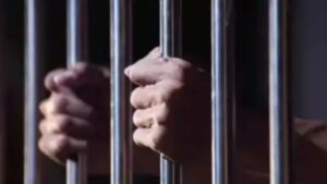 Mumbai Man Sentenced to 4 Months in Jail Over 2018 Dog Bite Incident in Lift