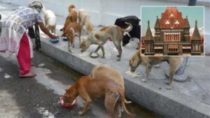Pune Flame University Asked To Respond By May 7 In Dismissal Case Of Professor Who Fed Dogs On Campus