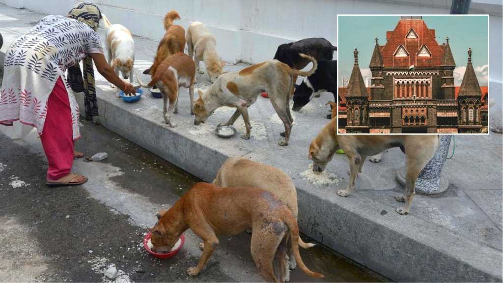 Pune Flame University Asked To Respond By May 7 In Dismissal Case Of Professor Who Fed Dogs On Campus