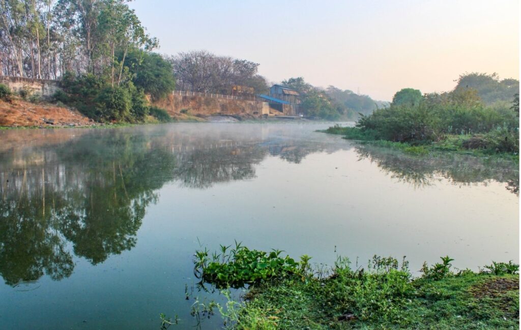 Pune Over 450 Species Mapped At Ramnadi-Mula Confluence, Sparking Fresh Calls For Habitat Protection