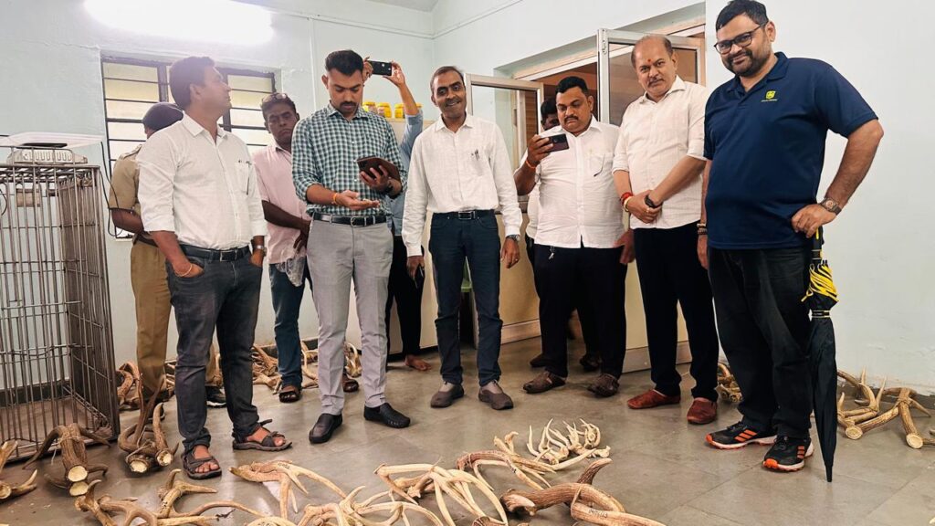 Pune: Shed Deer Antlers At Katraj Zoo Disposed Of Safely Following Wildlife Regulations