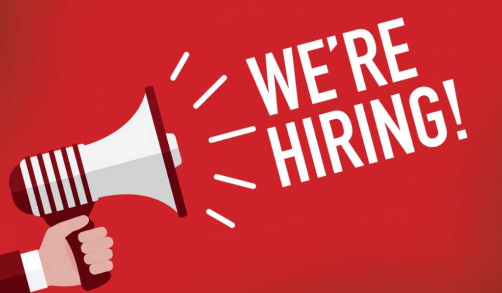 This Company is Planning to hire 20,000 freshers in 2025 amid strong Q1 results and AI-led growth focus
