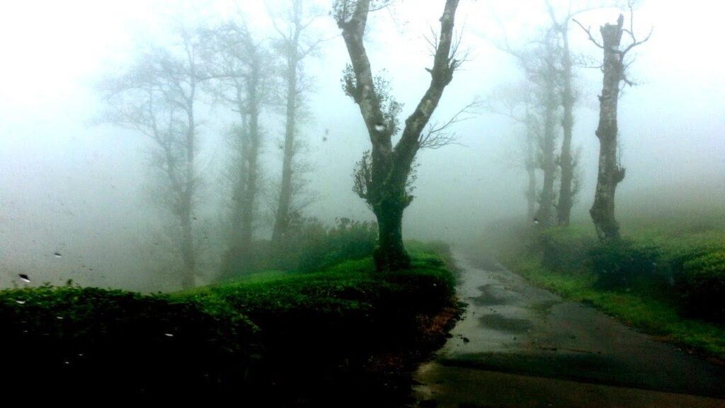 Top 10 Monsoon Getaways in India: Best Travel Destinations to Explore During the Rainy Season
