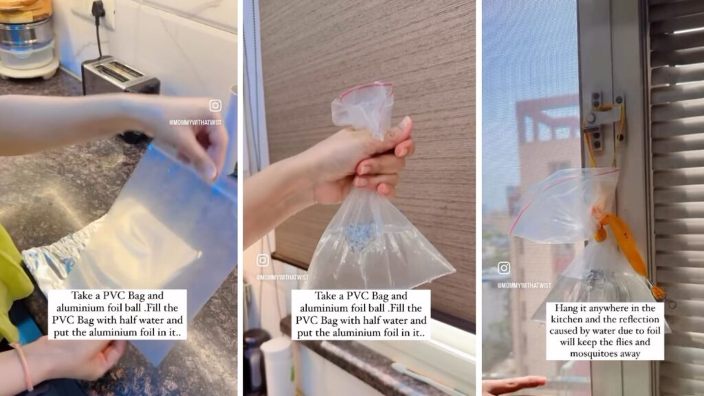 Viral Hack Claims to Repel Flies and Mosquitoes Using Just a Plastic Bag, Water, and Foil