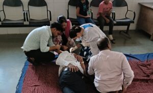 Pune: Bee Attack At Wedding In Khadkumbe Village Injures 8, Including 5-Year-Old Child