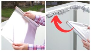 Viral Balcony Hack Using Aluminium Foil Offers Easy Solution to Keep Pigeons Away