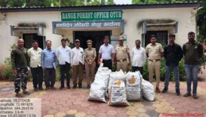 Over 200 Kg of Sandalwood Seized in Pune’s Jadhavwadi; Accused Flees During Forest Department Raid