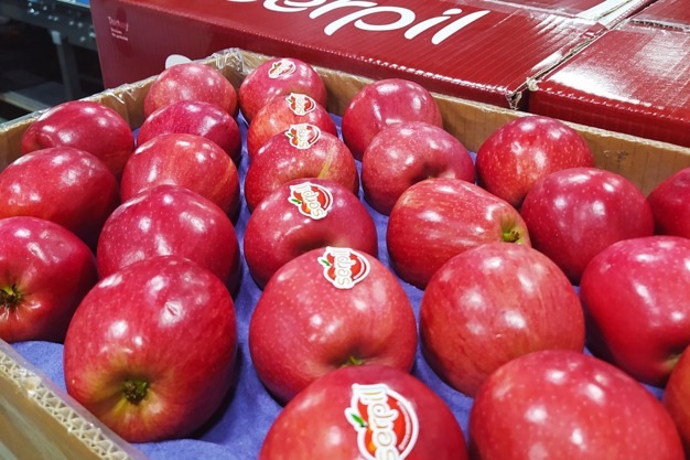 Pune Traders Boycott Turkish Apples, Push for Local Produce in Support of Indian Farmers