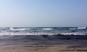 images (12)