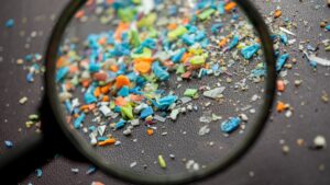 US Doctor Shares 4 Natural Ways to Help Detox Microplastics from the Body
