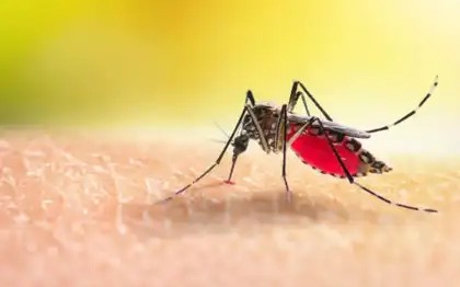Pune: PMC Steps Up Active Malaria Surveillance, Distributes Test Kits