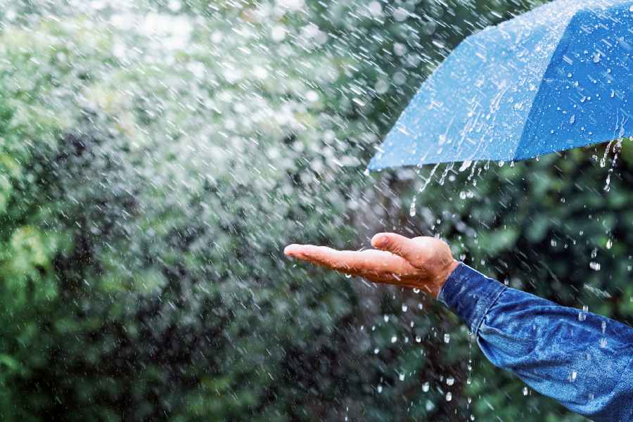 Weather Alert: Heavy Rain Forecast for 17 Districts in Maharashtra on August 26 – IMD Issues Yellow Alert