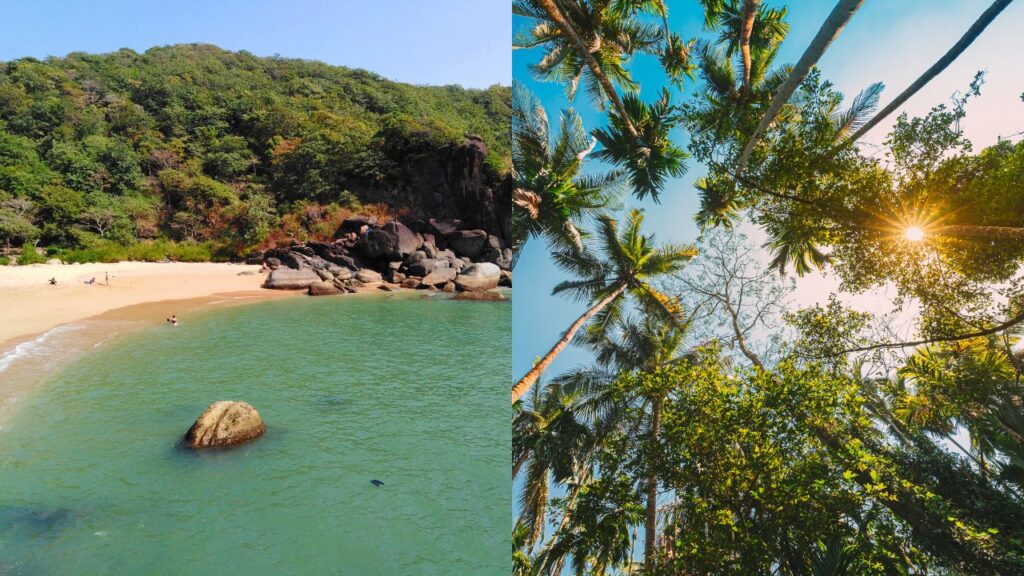 Tired of Goa’s Beaches? Explore These 5 Scenic Weekend Road Trips to Hills, Forests, and Heritage Sites Nearby