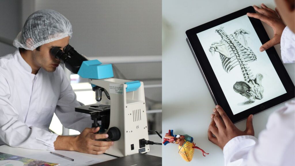 Not Just MBBS: High-Paying Medical Specialties to Consider After Class 12