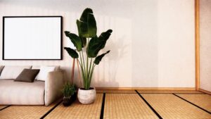 Is Your Home Blocking Positive Energy? Try These Simple Tricks That Actually Work