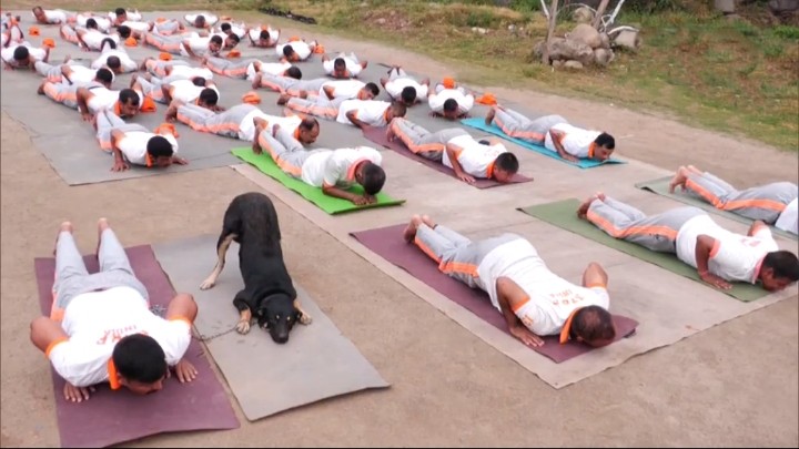 Paws and Pose: NDRF’s Trained Dog Leads the Way in Yoga Ahead of International Day