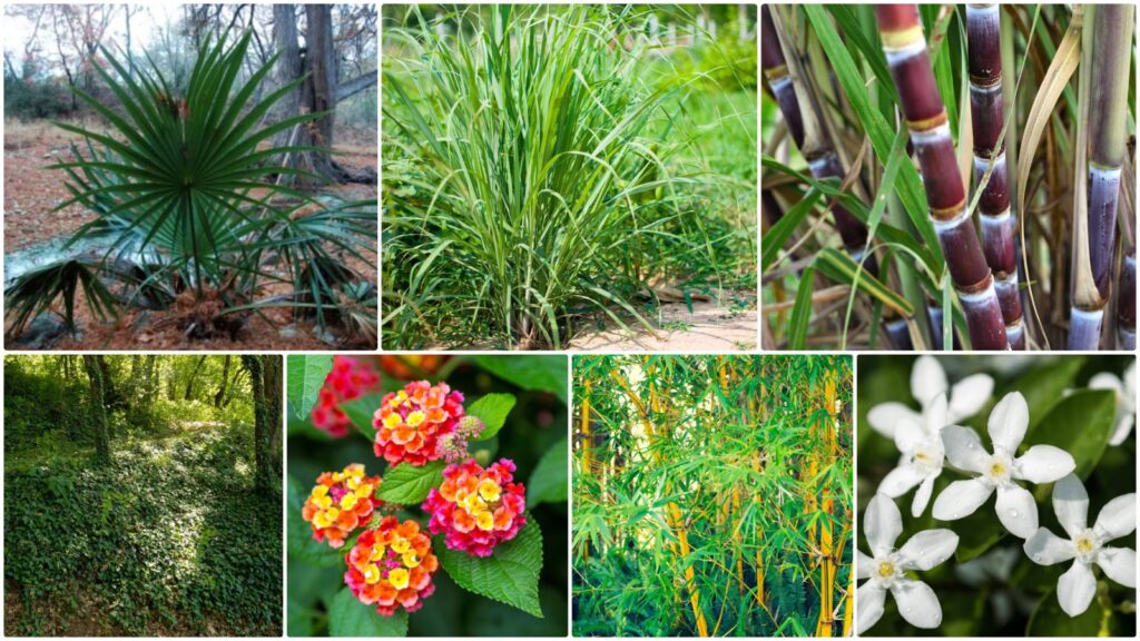 7 Common Garden Plants That Might Be Attracting Snakes to Your Yard