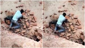 Man vs Leopard: Brick Kiln Worker Fights Off Wild Cat in Uttar Pradesh, Video Goes Viral