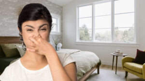 Beat Musty Monsoon Odors: Easy Tricks to Keep Your Home Fresh and Moisture-Free