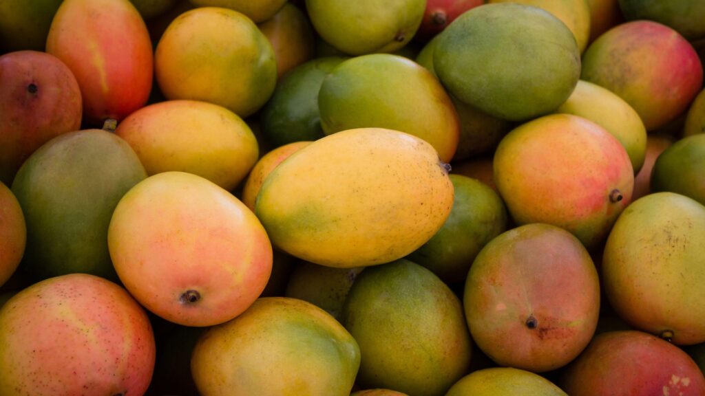India’s Mango Powerhouse: Discover the State That Grows the Most Mangoes