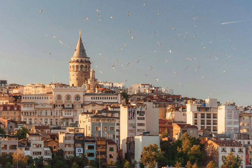 An Overview of Culinary Crossroads in Istanbul's Diverse Food Scene - Image Resource: unsplash.com