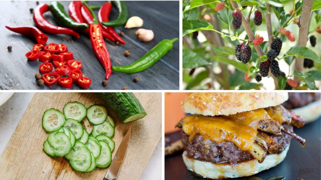 June & Your Body: Ayurvedic Tips on What to Eat and Avoid This Summer