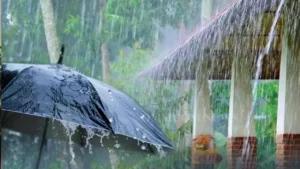 Monsoon Gains Momentum in Maharashtra; Orange Alert Issued for Mumbai, Thane and Ghat Regions