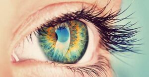 Top 7 Foods to Support Sharper Vision Naturally