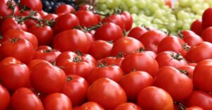 Tomato Prices Likely to Rise in Pune as Monsoon Hits Quality and Supply
