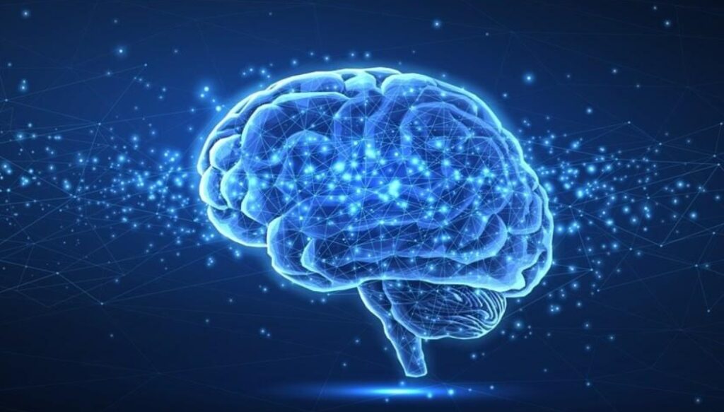 Top 10 Indian States Leading in Brainpower and IQ