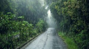 Maharashtra Weather Update: Monsoon to Regain Strength After Week-Long Pause; Rain Forecast Across Half of the State