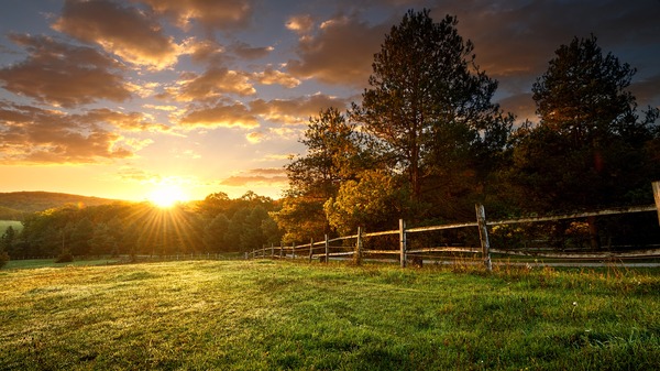 June 21 Marks The Longest Day Of 2025: All You Need To Know About The Summer Solstice
