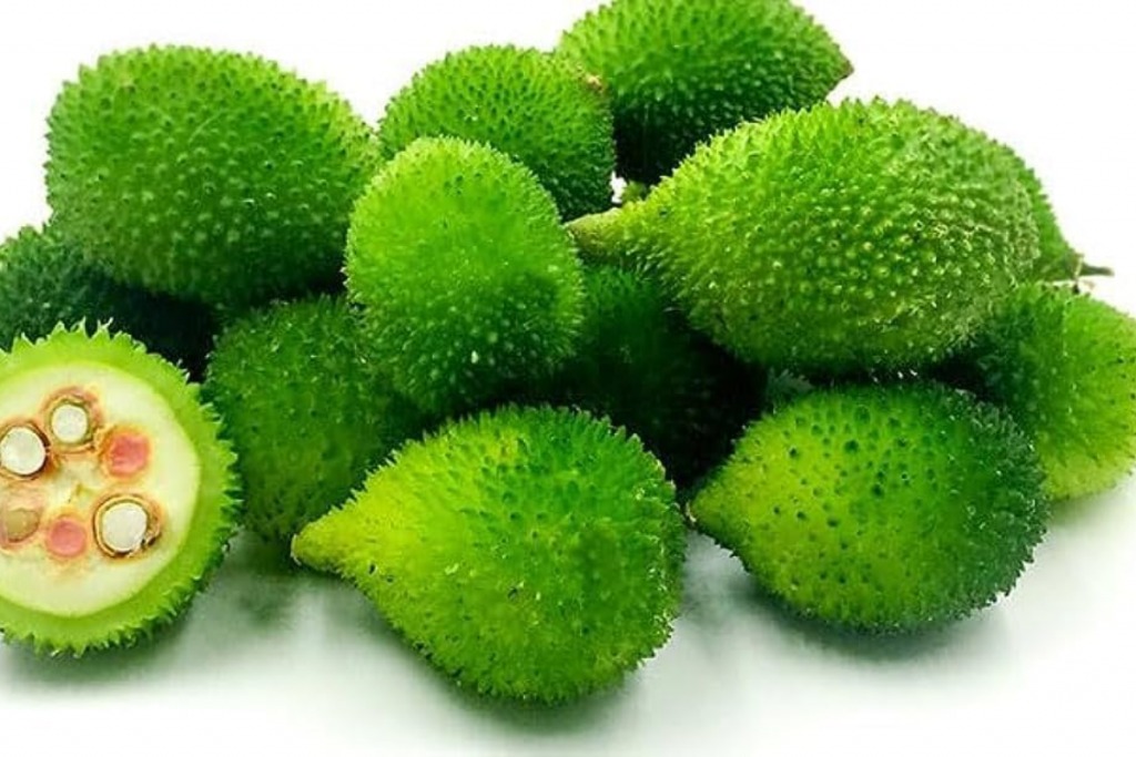 Kakoda: Rare 90-Day Monsoon Veg with Powerful Health Benefits Locals Swear By