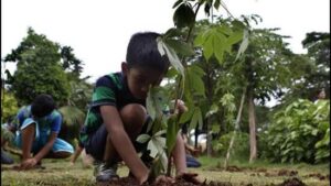 Pune’s Van Mahotsav: Get 15 Types of Saplings for Just ₹5 Each; Know the Location and Dates