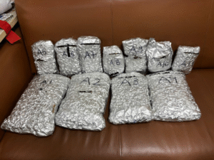 Hydroponic Marijuana Worth ₹5.11 Crore Seized at Mumbai Airport; Passenger from Bangkok Arrested