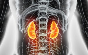 6 Naturally Nourishing Foods That Help Keep Your Kidneys in Top Shape