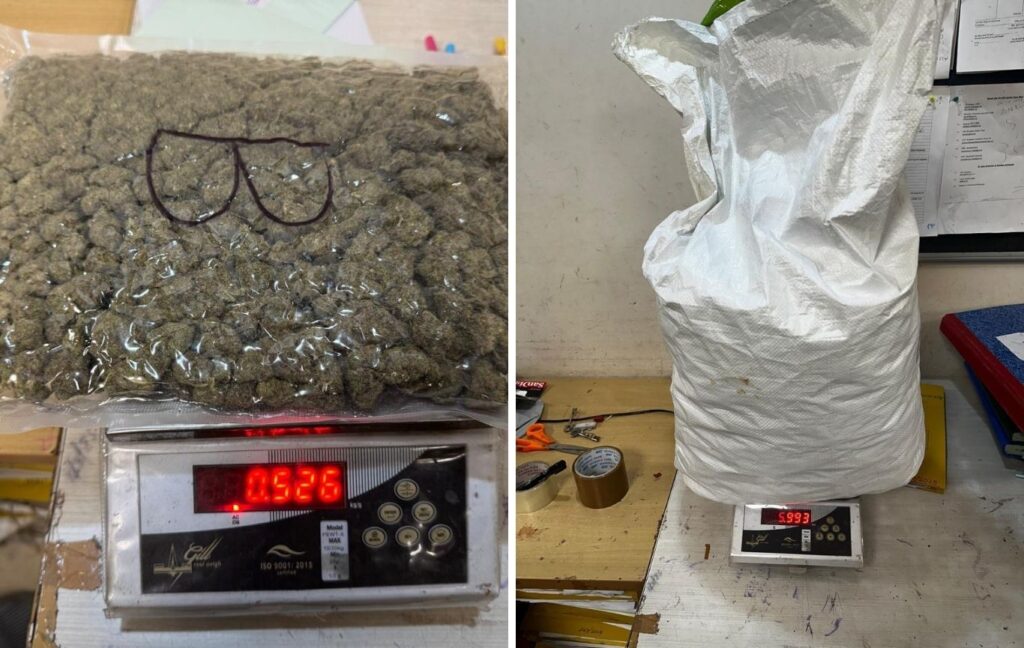 Mumbai Customs intercepts Hydroponic Marijuana worth ₹11.88 Crores at CSMI Airport