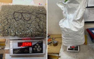 Mumbai Customs intercepts Hydroponic Marijuana worth ₹11.88 Crores at CSMI Airport